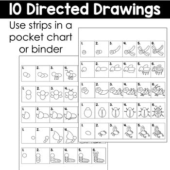 Insect Directed Drawings | Bugs | Spring