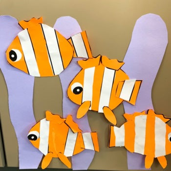 Fish Craft | Clown Fish | Ocean | Aquatic Animals | Zoo Animals
