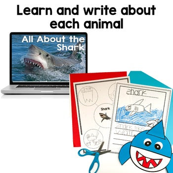 All About the Ocean | Kindergarten | Writing | Nonfiction Unit