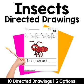 Insect Directed Drawings | Bugs | Spring