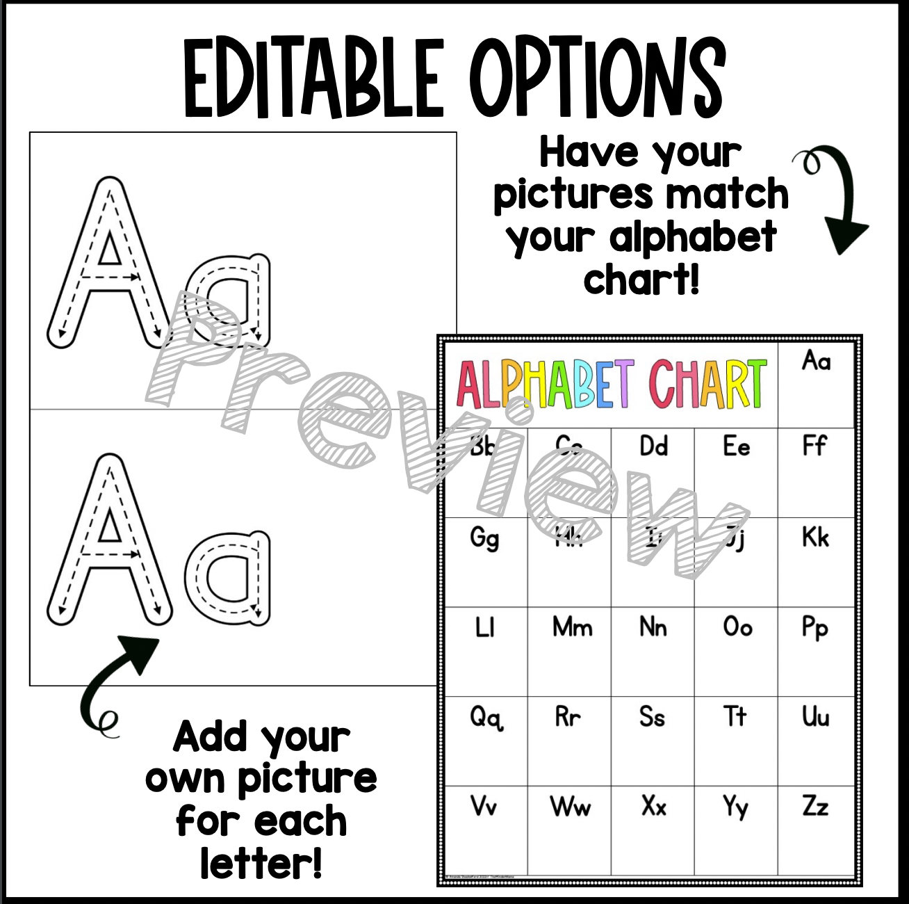 Alphabet Nonfiction Bundle | Orton Gillingham Aligned | Editable