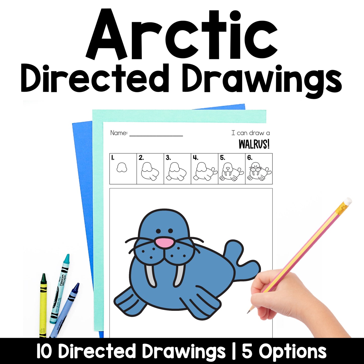 Arctic Animals Directed Drawings