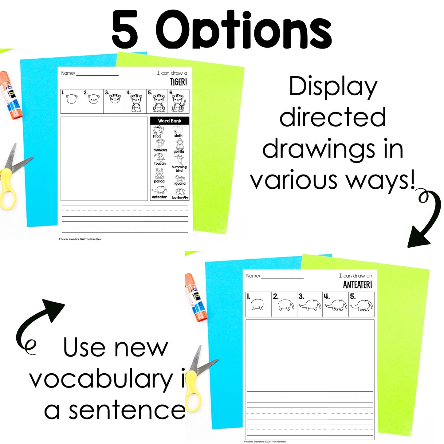 Rainforest Directed Drawings