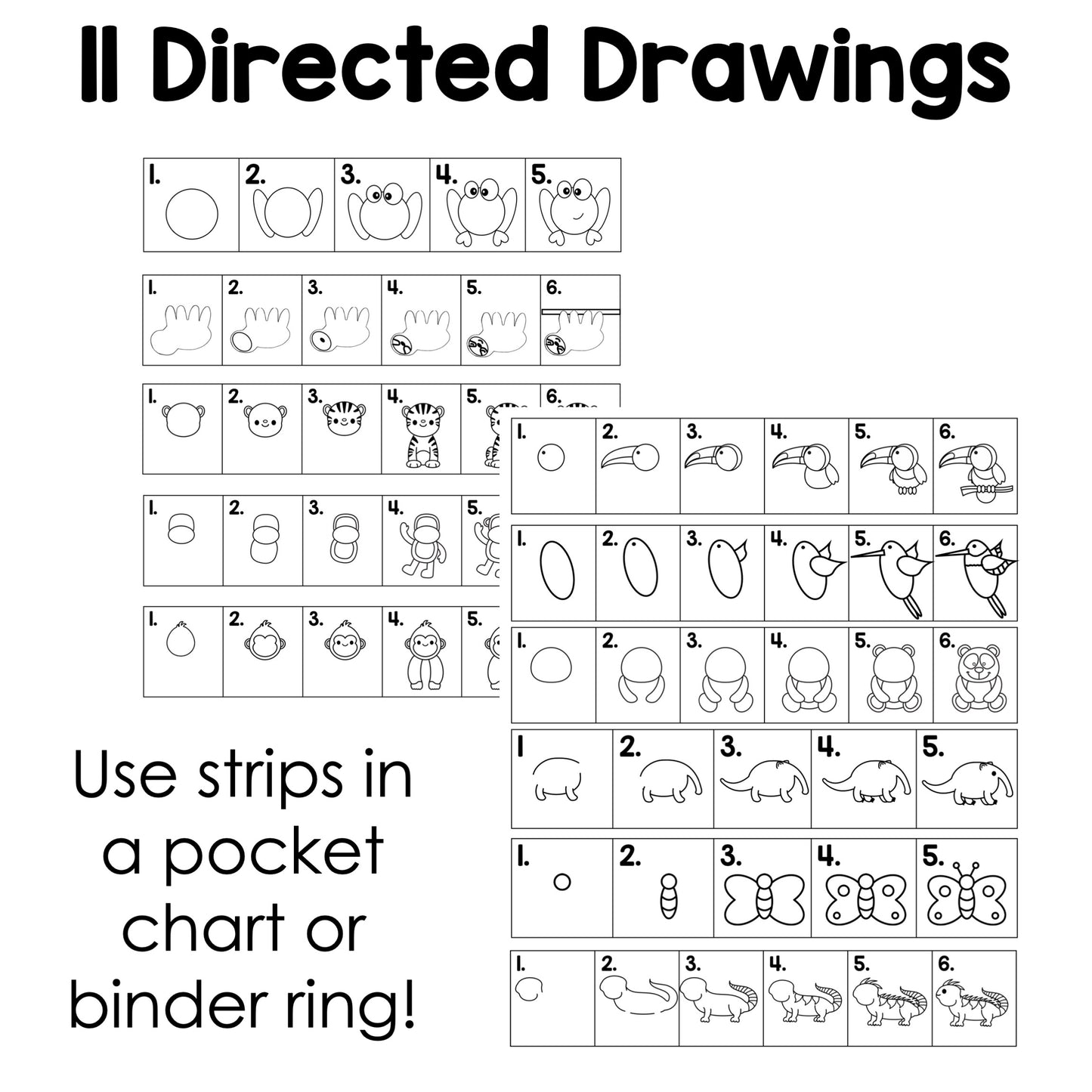 Rainforest Directed Drawings